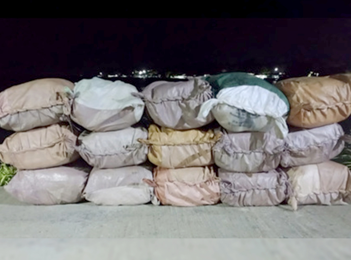 Navy Seizes 468kg of Smuggled Kendu Leaves in Puttalam